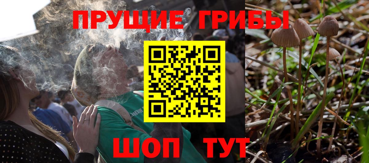 Галлюциногенные грибы ЛСД Димитровград