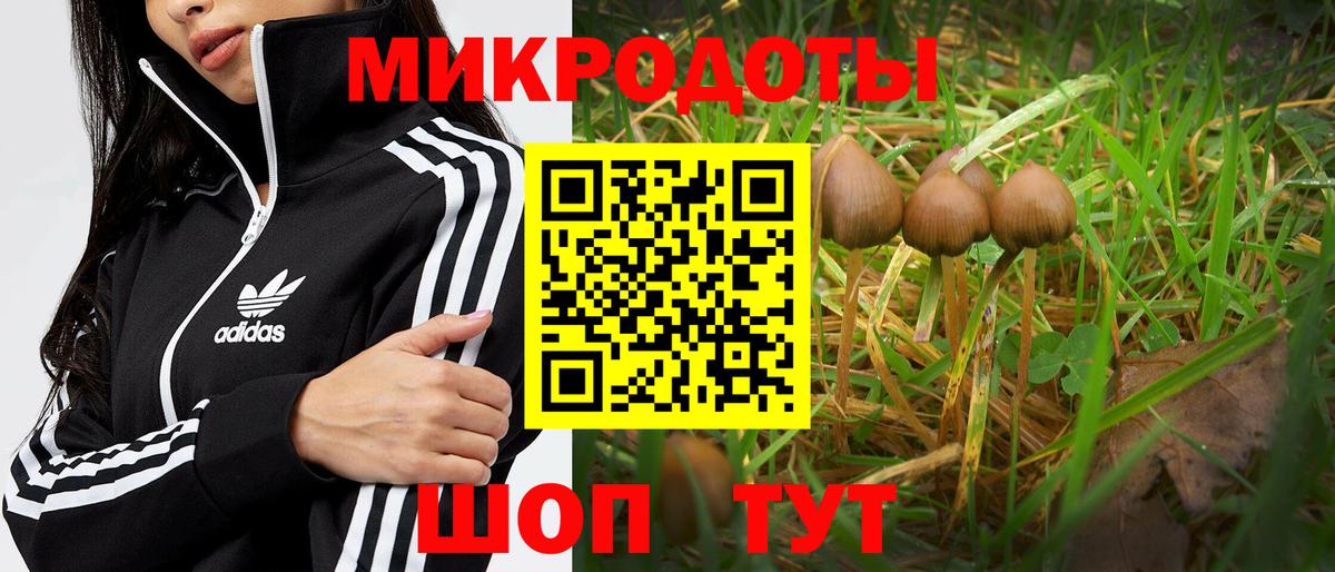 Галлюциногенные грибы мухоморы  Вход с VPN  Димитровград 